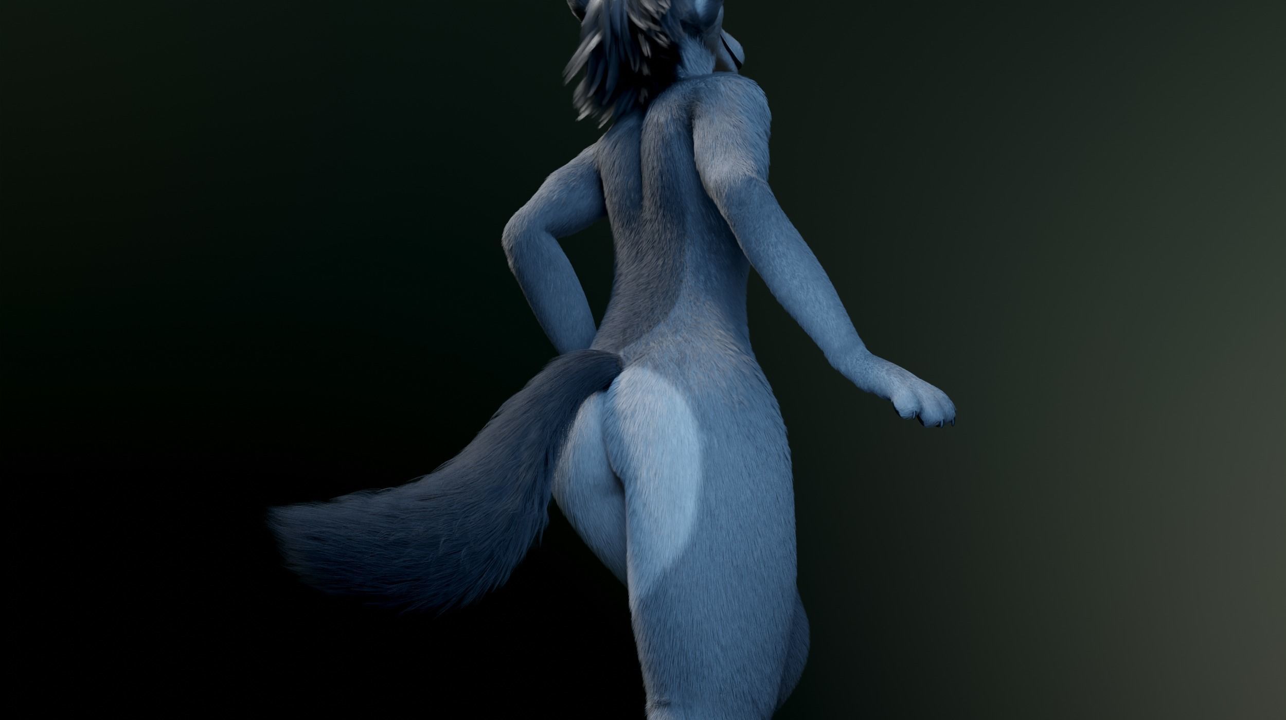 Helena Anthro Wolf 3D model_21