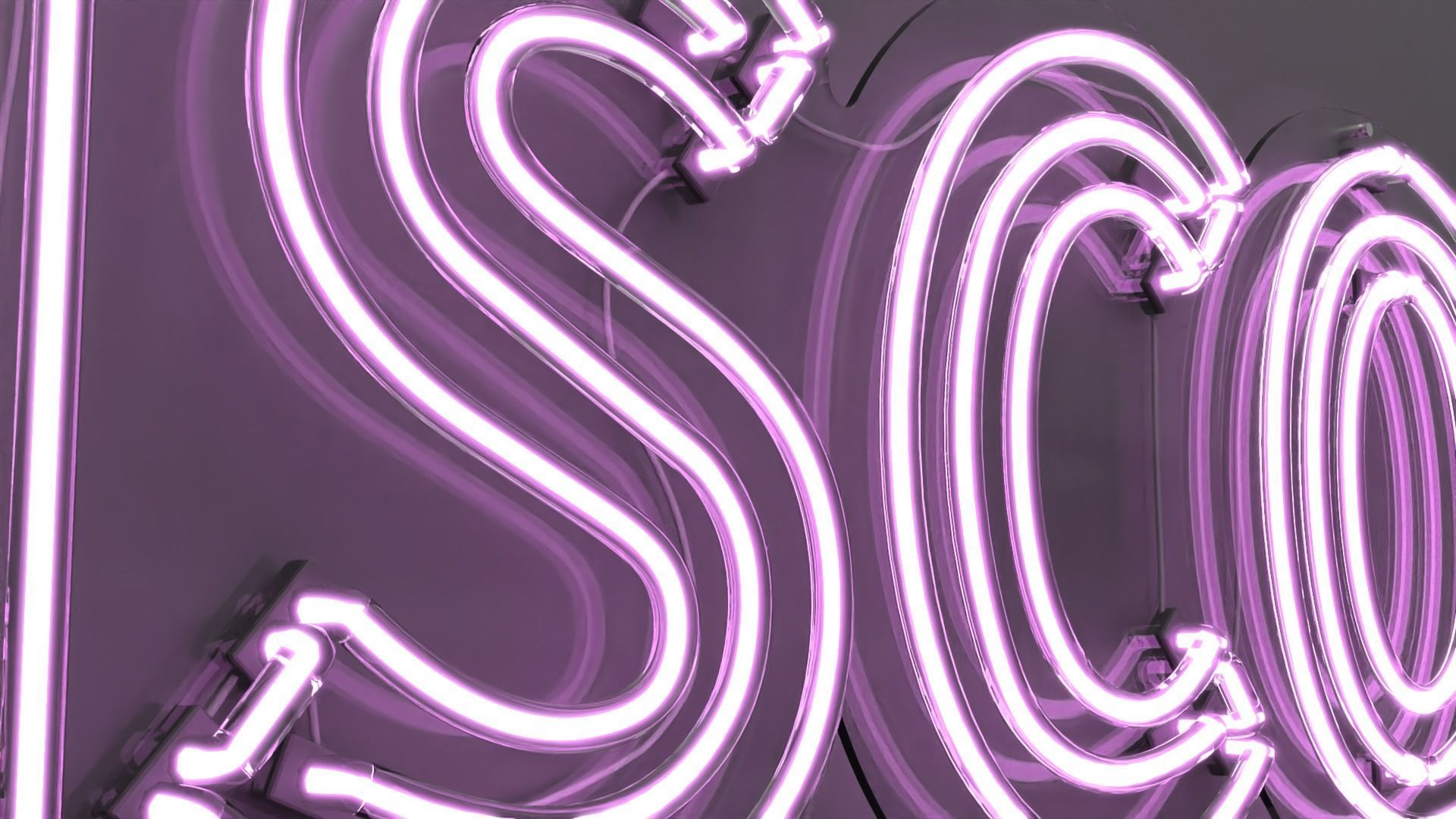Disco - Neon Sign 3D model_1