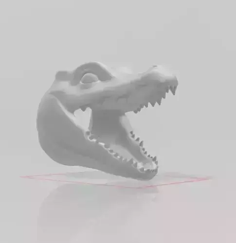 Crocodile Head