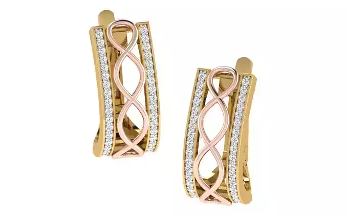 Women Earrings 3dm render detail