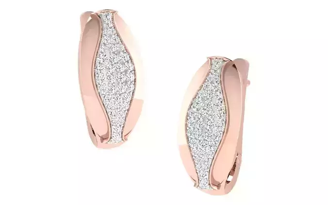 Women Earrings 3dm render detail