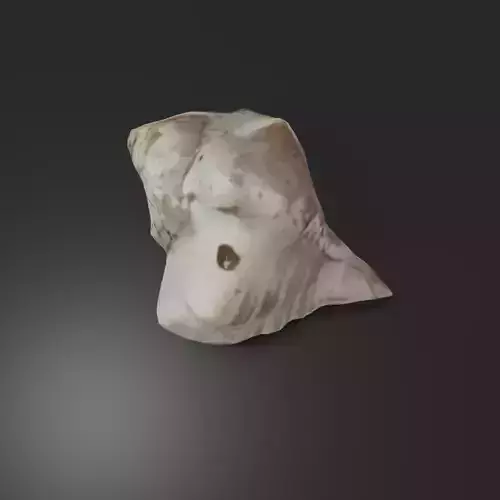 Photoscanned low poly sea shell 
