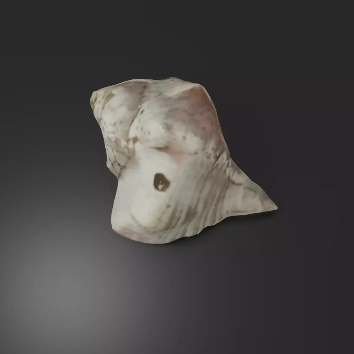 Photoscanned low poly sea shell Free low-poly 3D model
