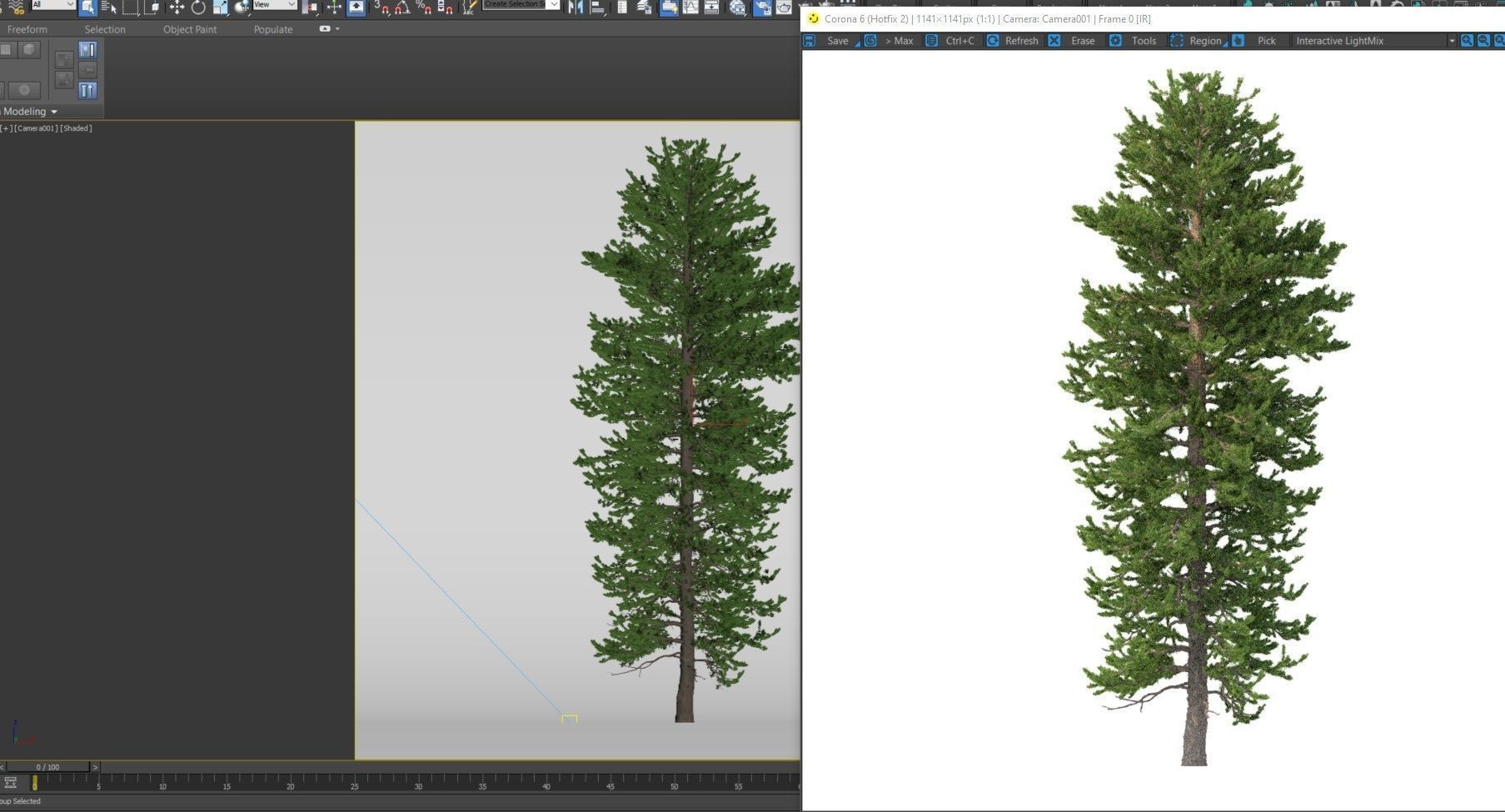 Picea Abies No 2 3D model_10