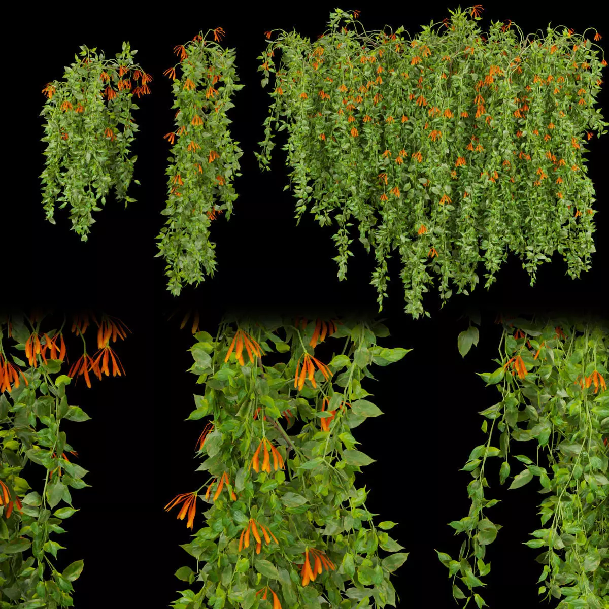 Collection plant vol 221 3D model_0