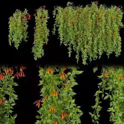 Collection plant vol 221 3D model