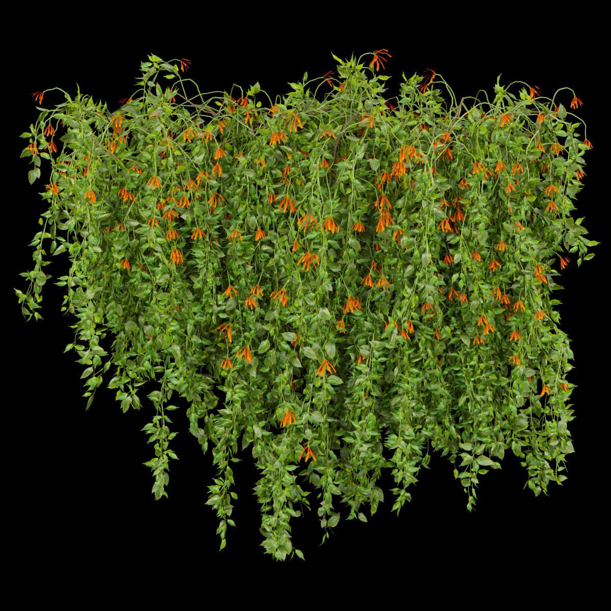 Collection plant vol 221 3D model_1