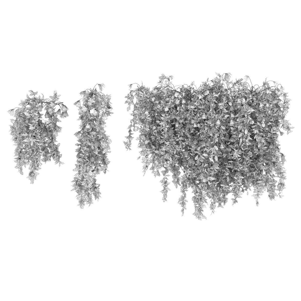 Collection plant vol 221 3D model_3