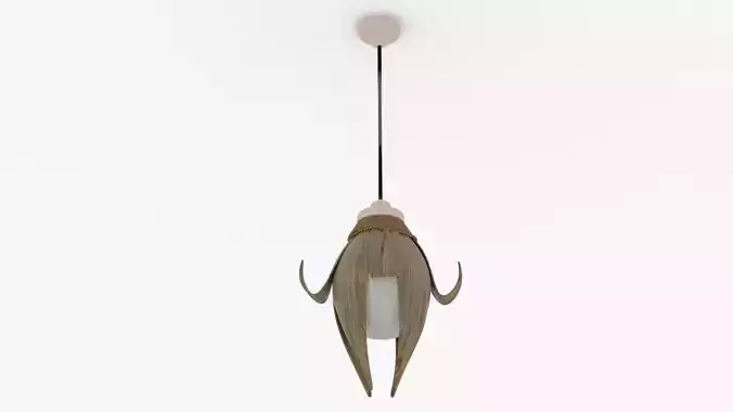 Ceiling Lamp