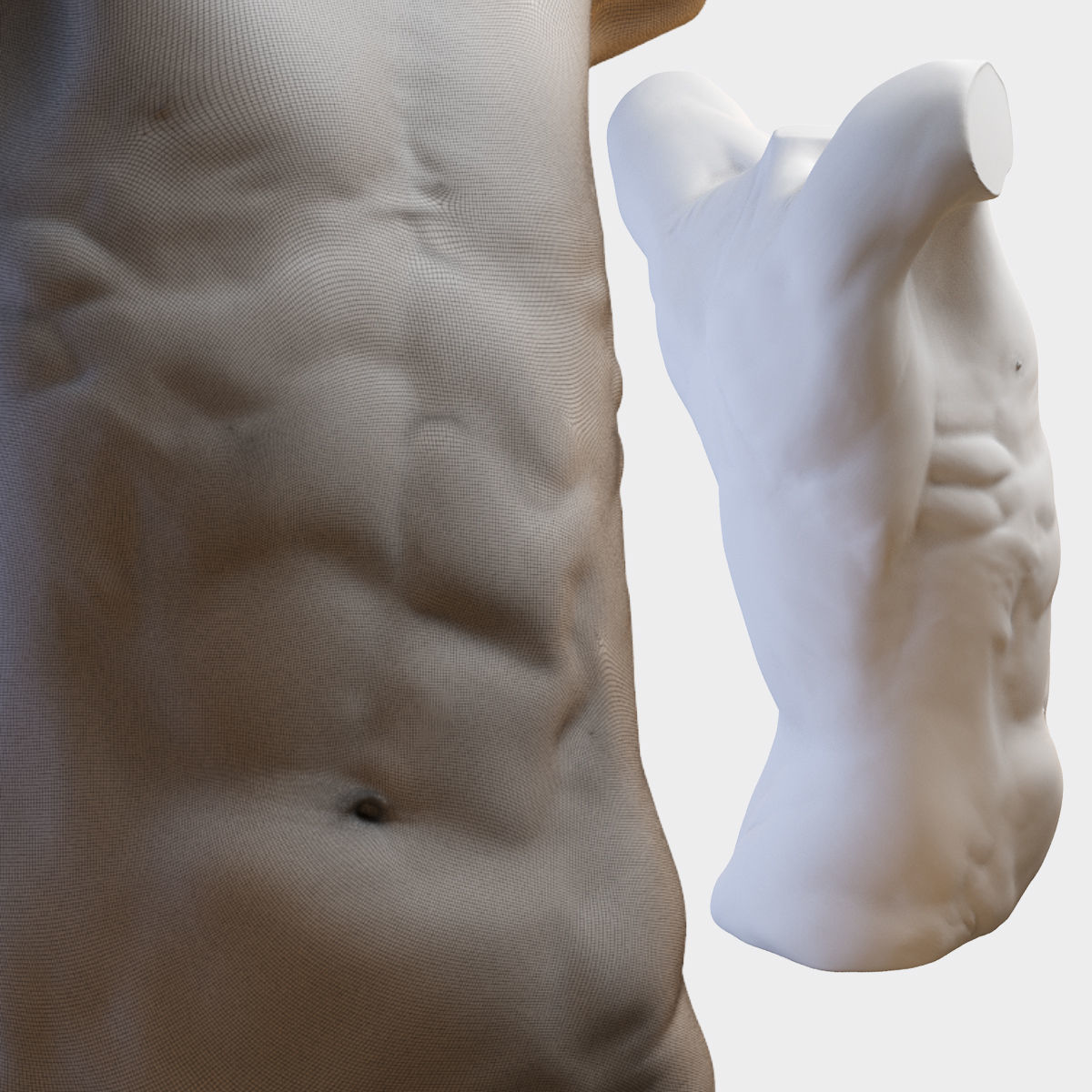 Torso mannequin 3D model_7