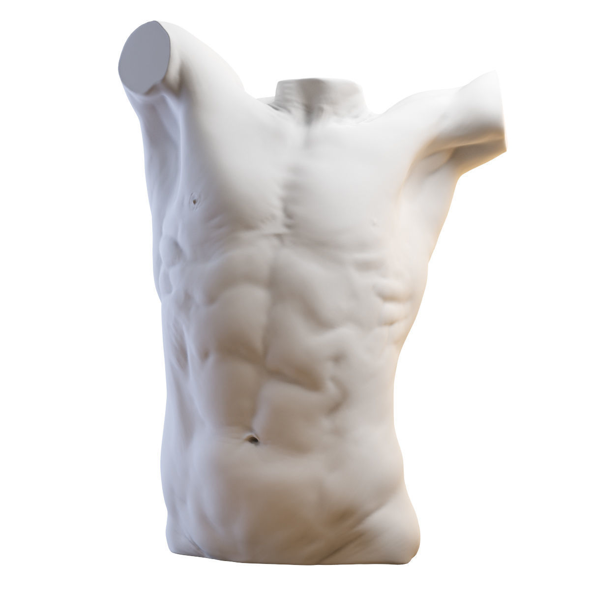 Torso mannequin 3D model_2