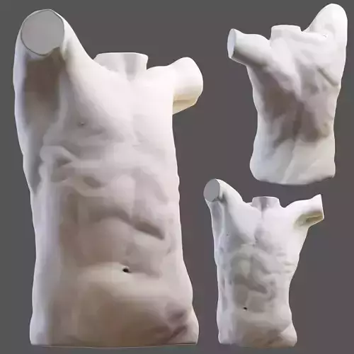 Torso mannequin