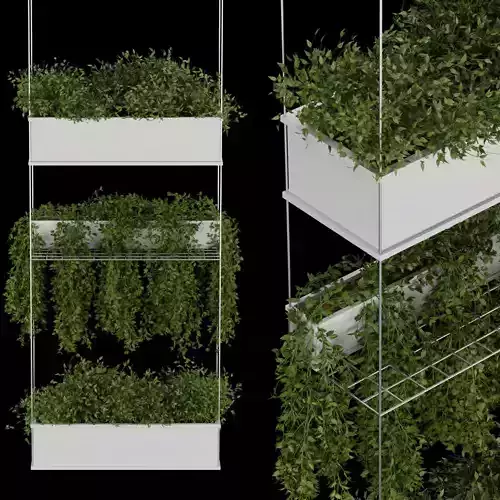 Collection plant vol 222 3D model