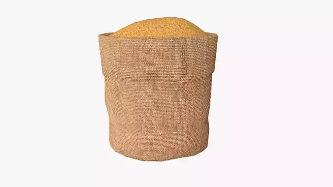 Paddy in sackcloth Low-poly 3D model