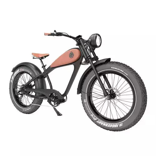 bike electric 