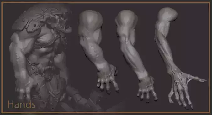 Hand brush anatomy characters