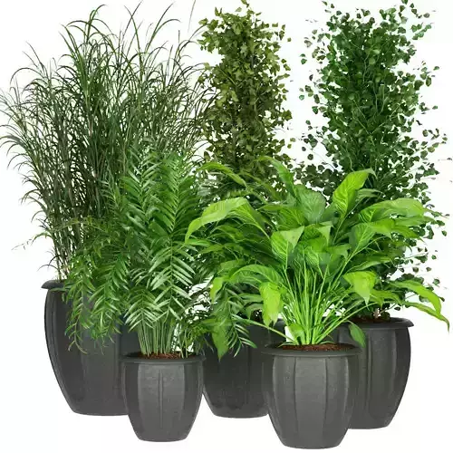 Collection plant vol 231 3D model