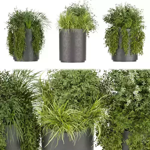 Collection plant vol 232 3D model