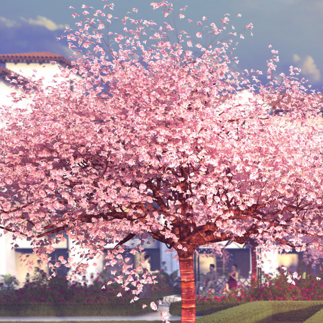Flowering cherry tree prunus avium A 3D model_8