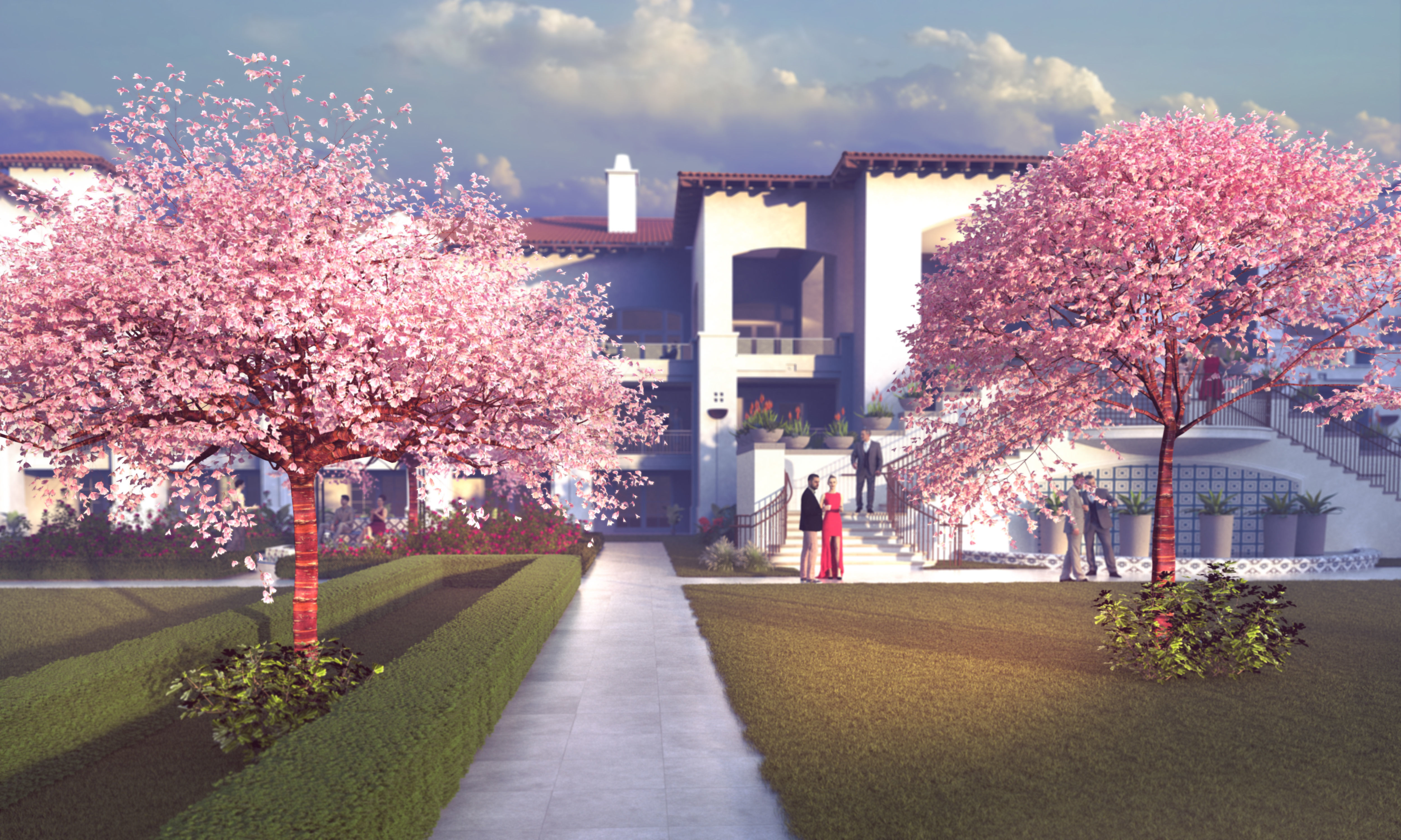 Flowering cherry tree prunus avium A 3D model_1