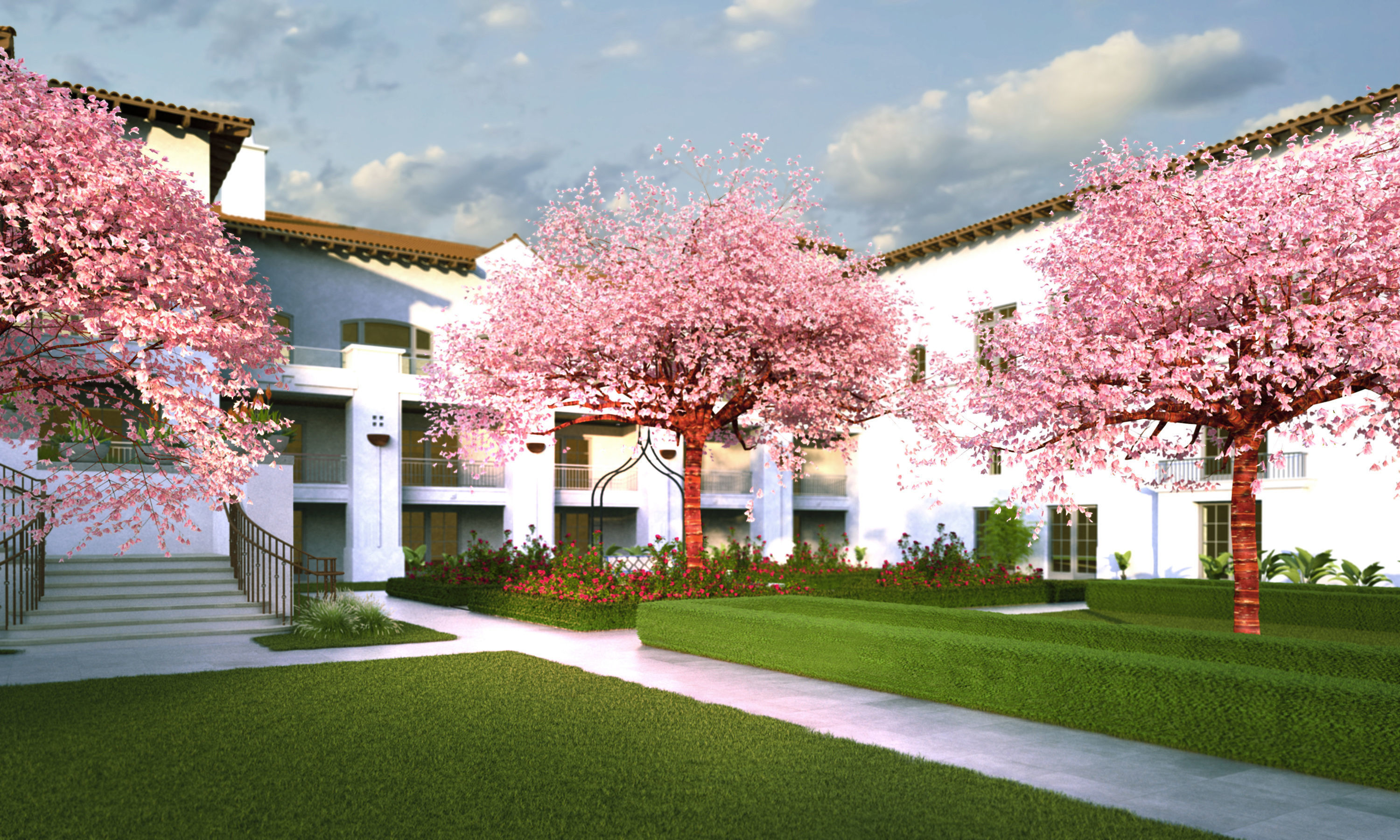 Flowering cherry tree prunus avium A 3D model_7