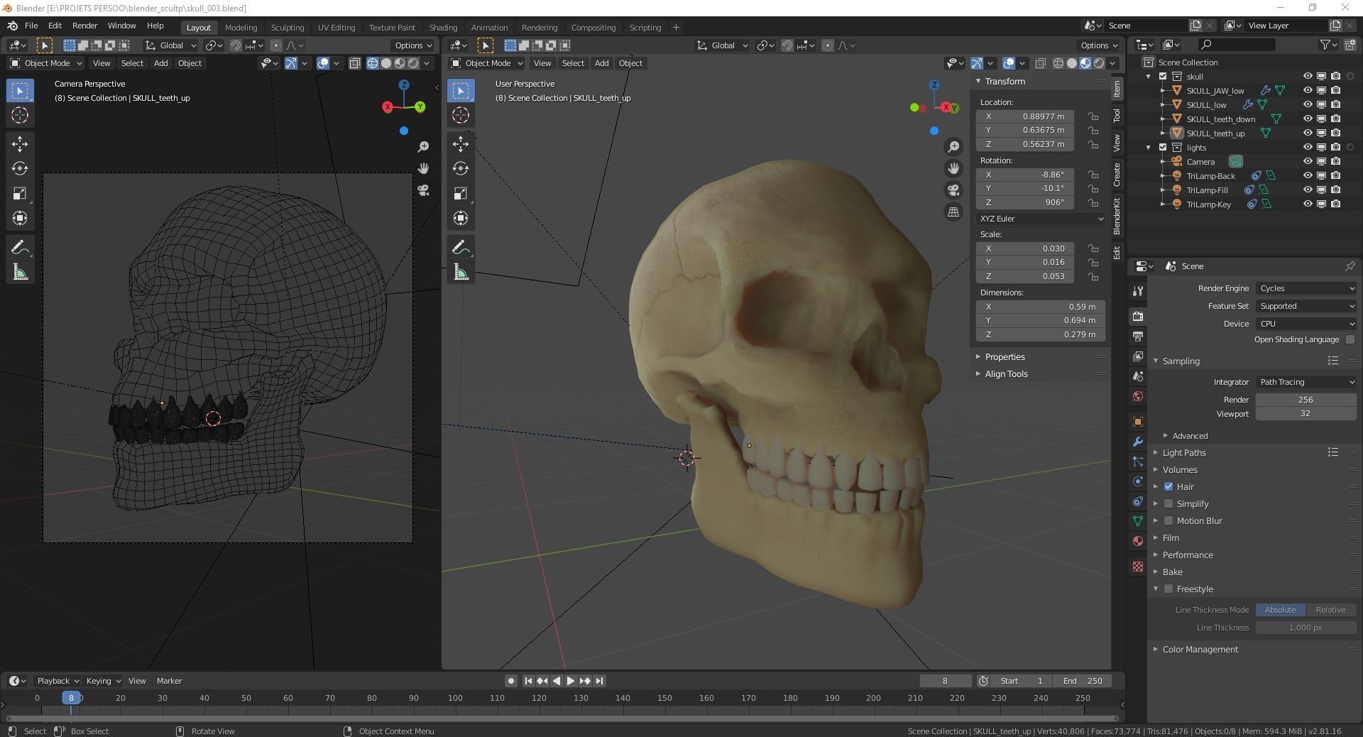 Human Skull 3D model_14