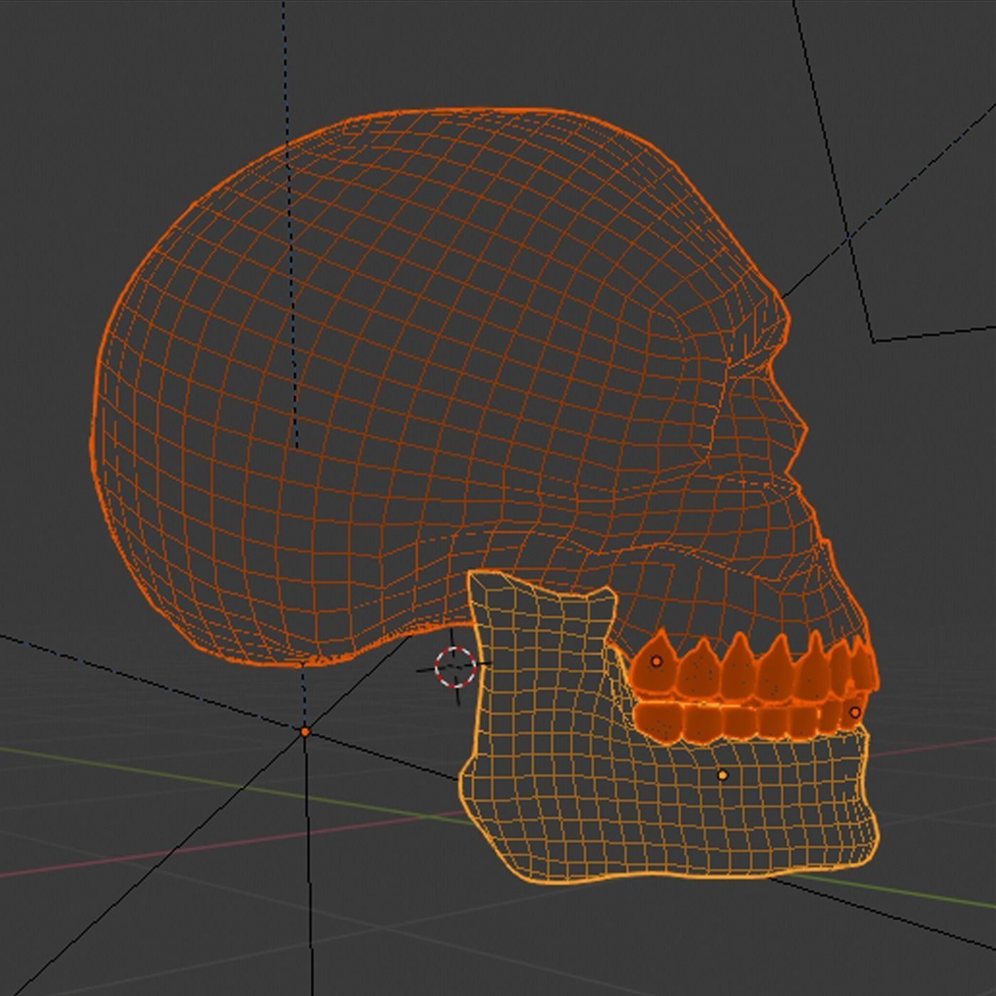 Human Skull 3D model_5