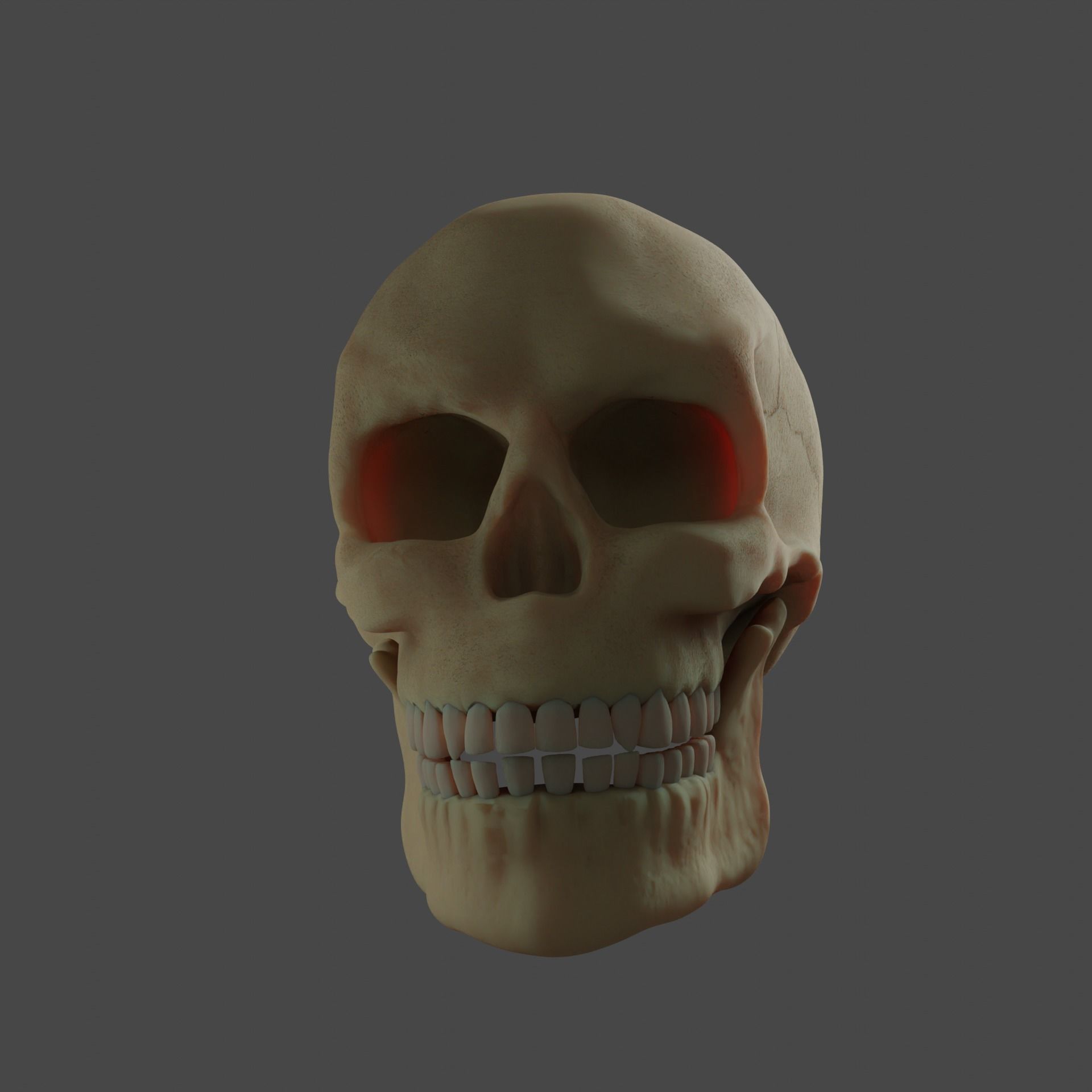 Human Skull 3D model_8