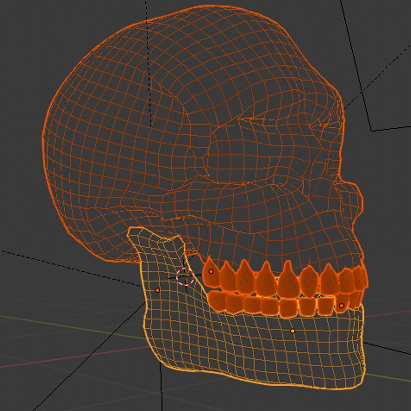 Human Skull 3D model_11