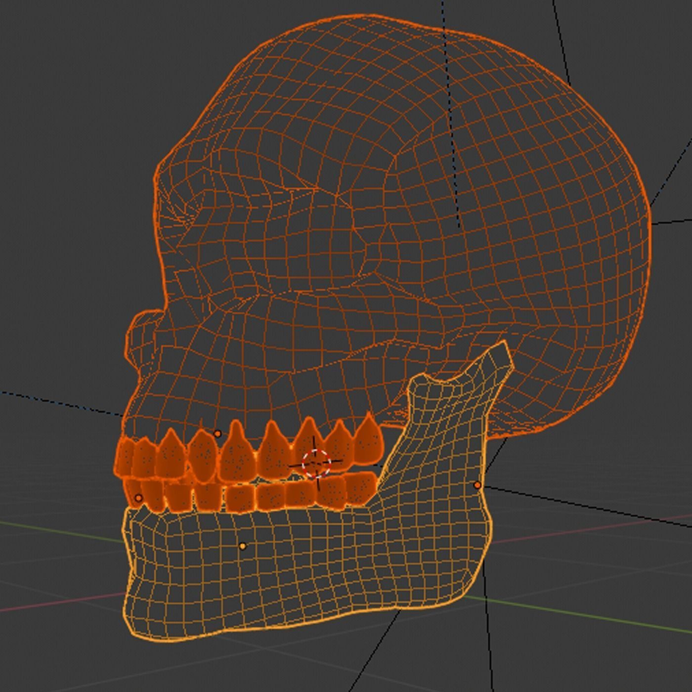 Human Skull 3D model_1