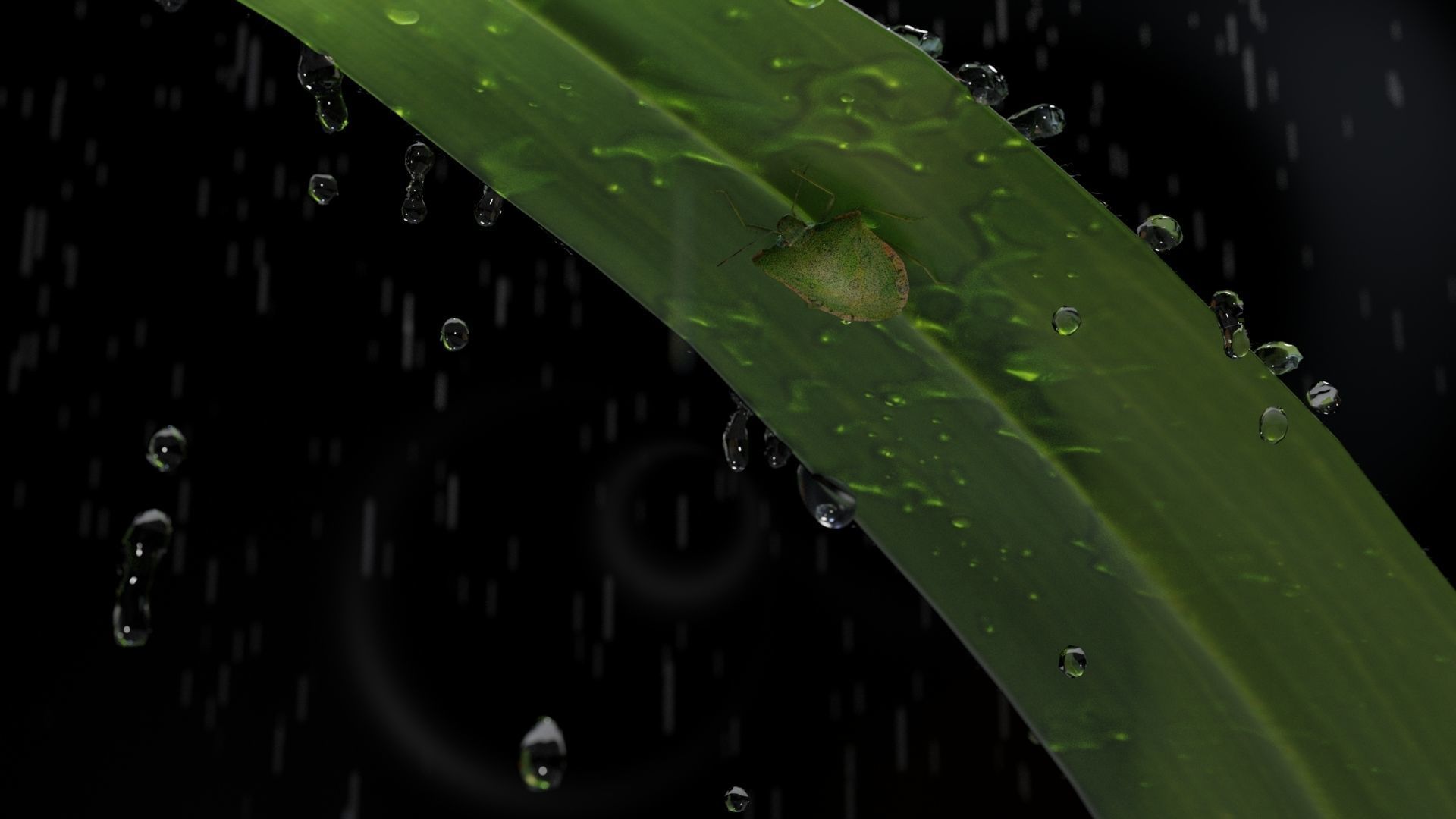 One Stinkbug Two scenes Free low-poly 3D model_1