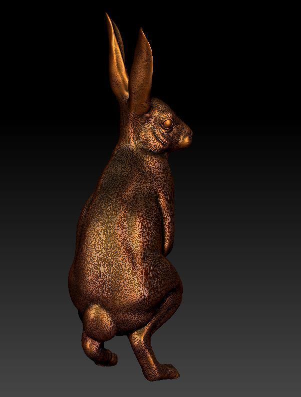 Hare rabbit 3D print model_6