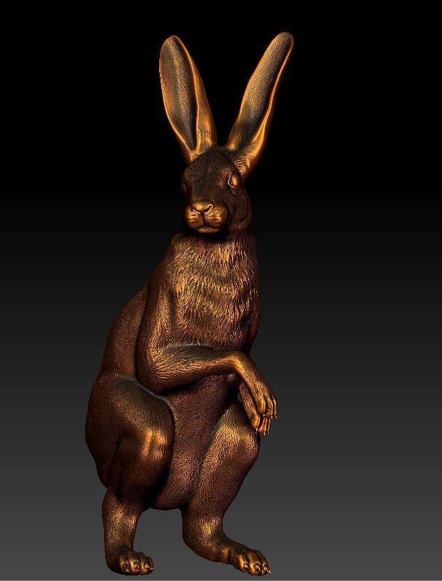 Hare rabbit 3D print model_4