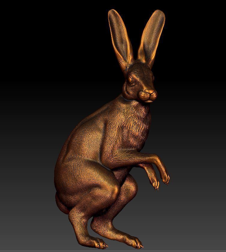Hare rabbit 3D print model_2