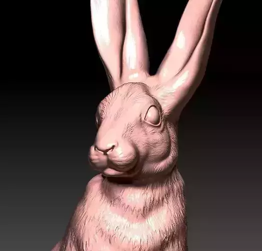 Hare rabbit 3D print model
