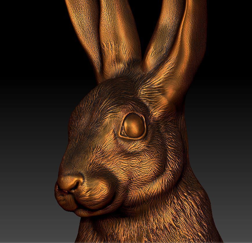 Hare rabbit 3D print model_5