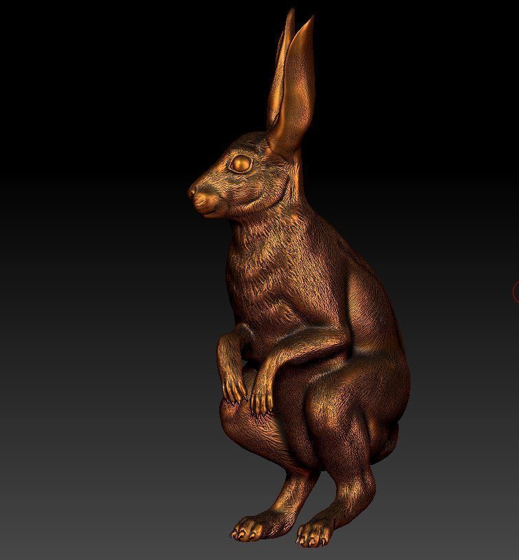 Hare rabbit 3D print model_3