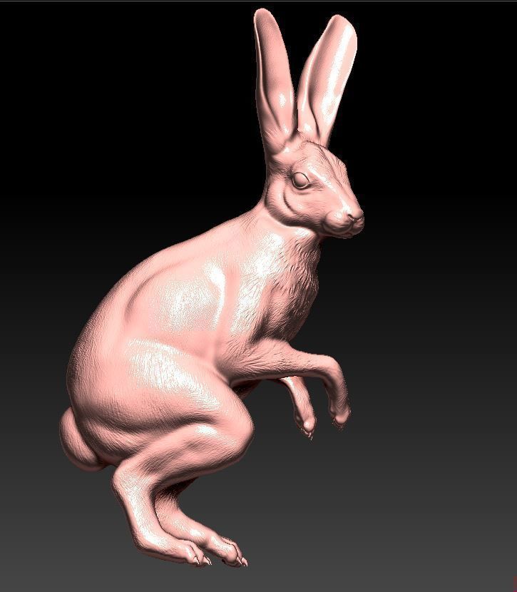 Hare rabbit 3D print model_7