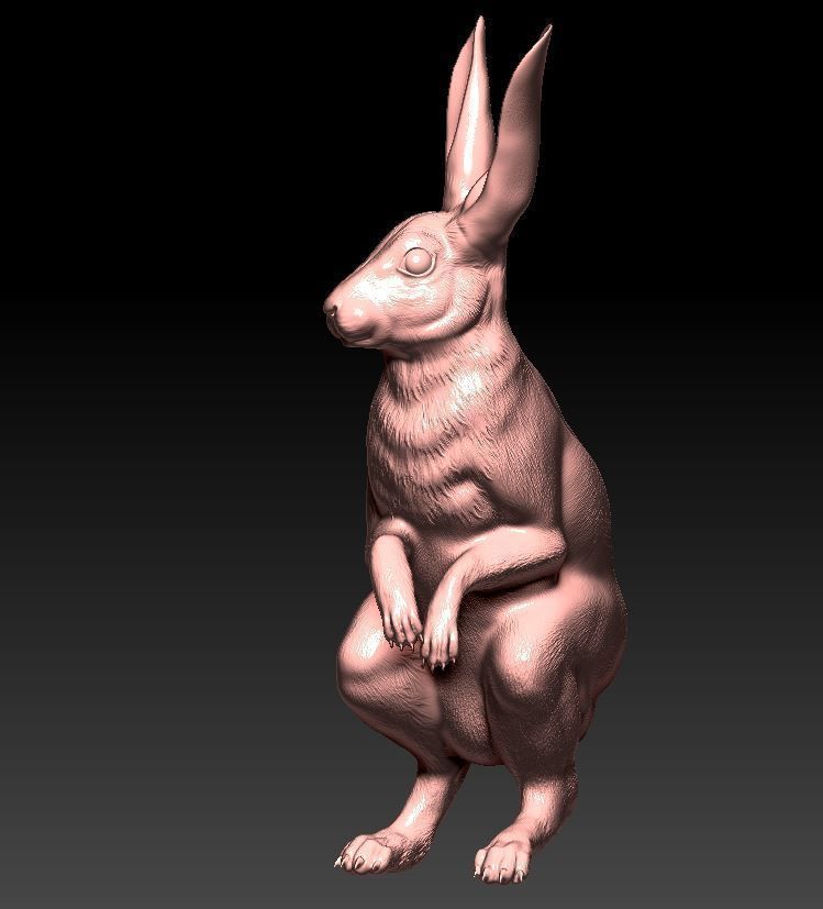 Hare rabbit 3D print model_1