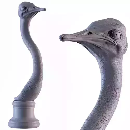 Ostrich swan