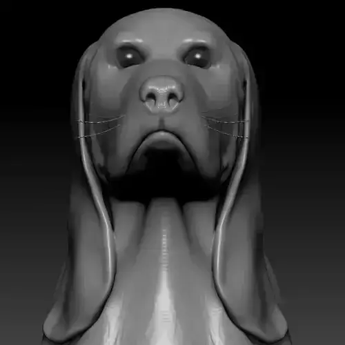 Dog beagle Low-poly 3D model