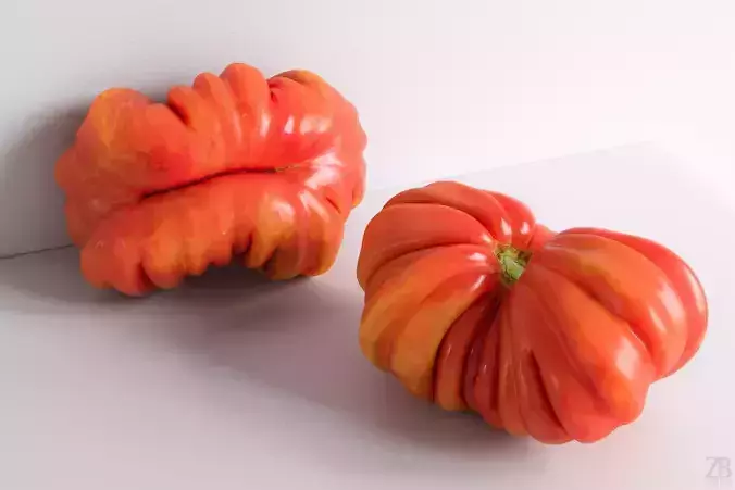 Tomato 3D model