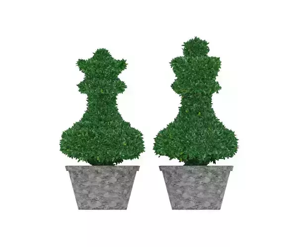 Bush plant - boxwood Low-poly 3D model