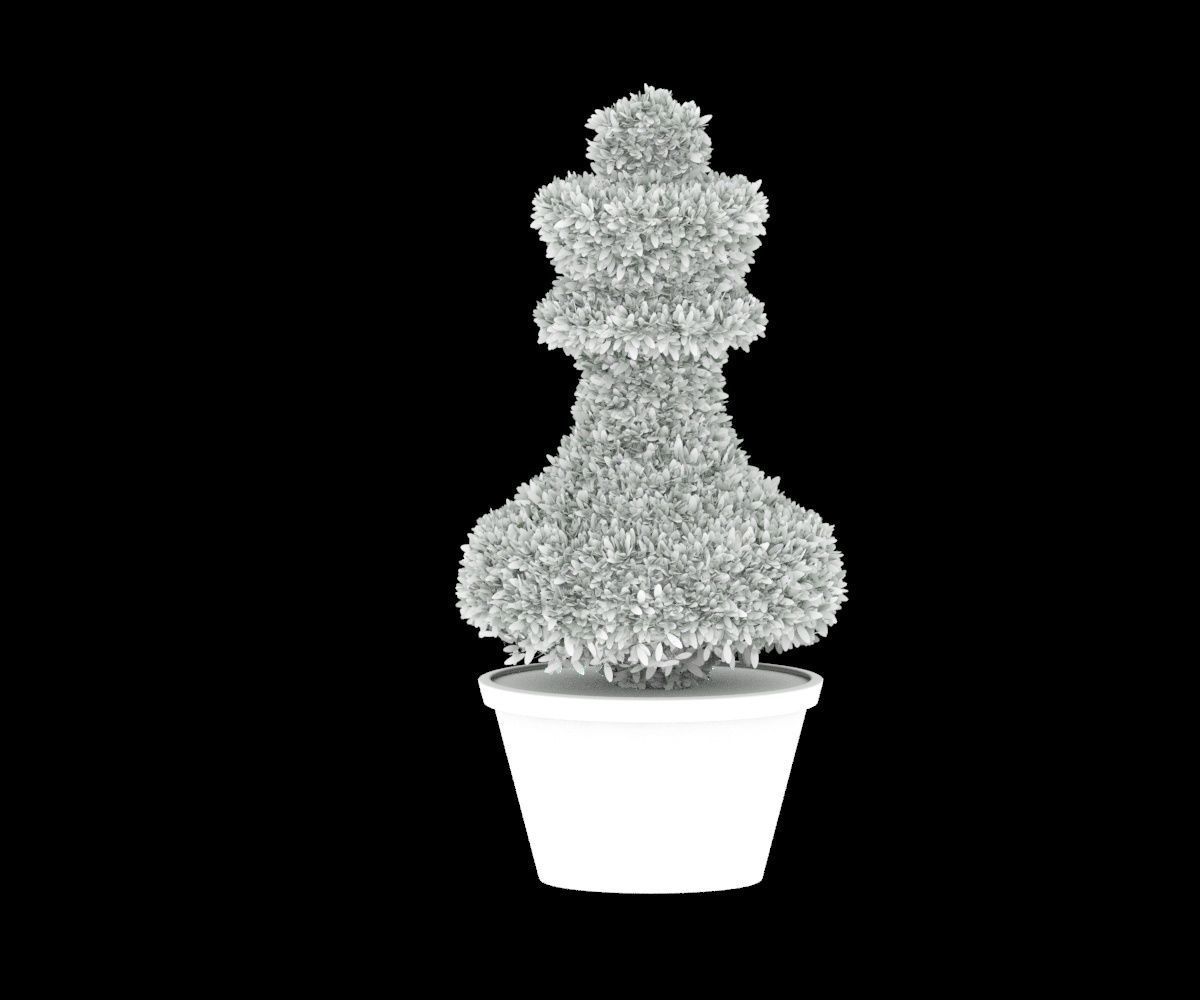 Bush plant - boxwood Low-poly 3D model_8