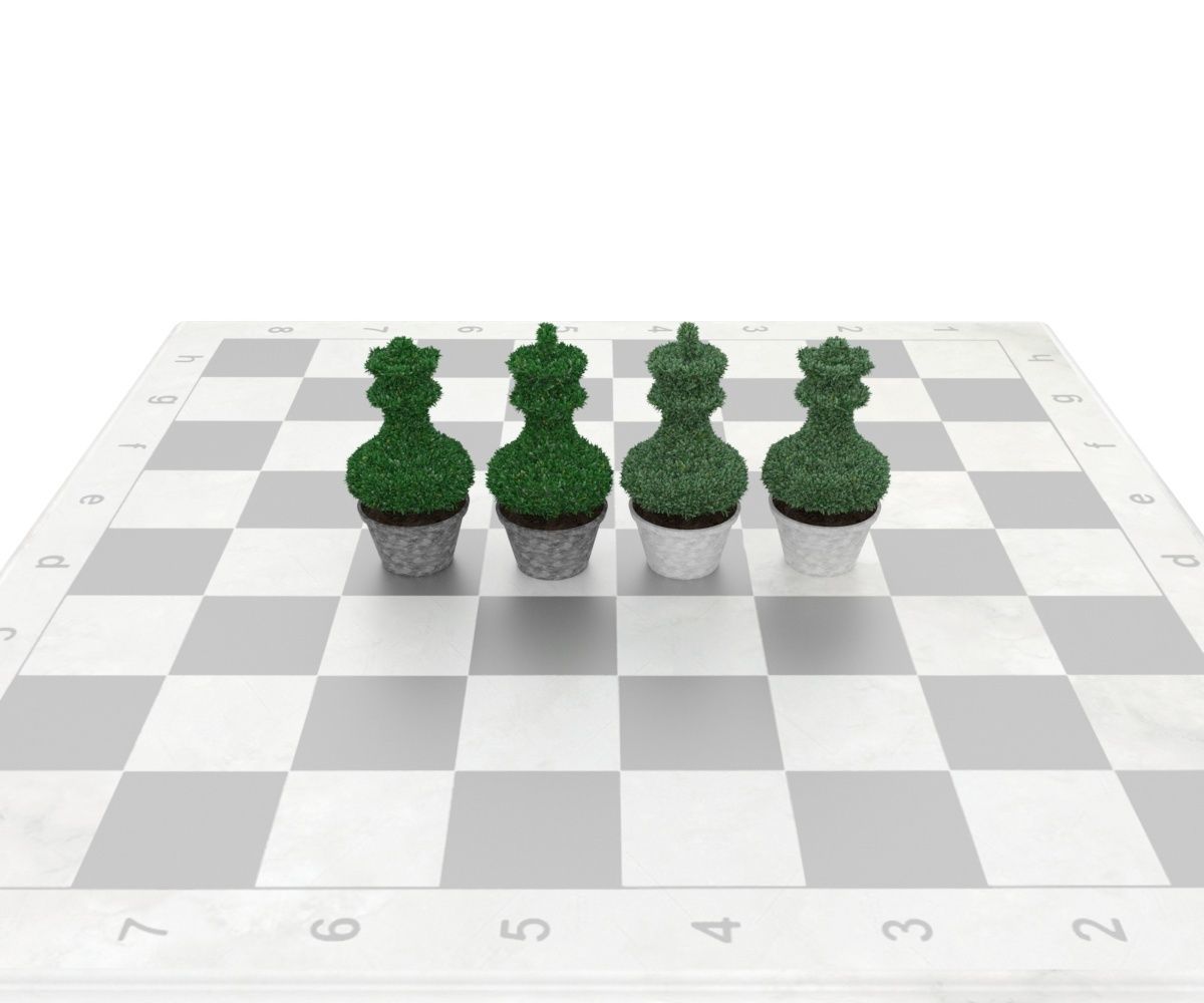 Bush plant - boxwood Low-poly 3D model_10