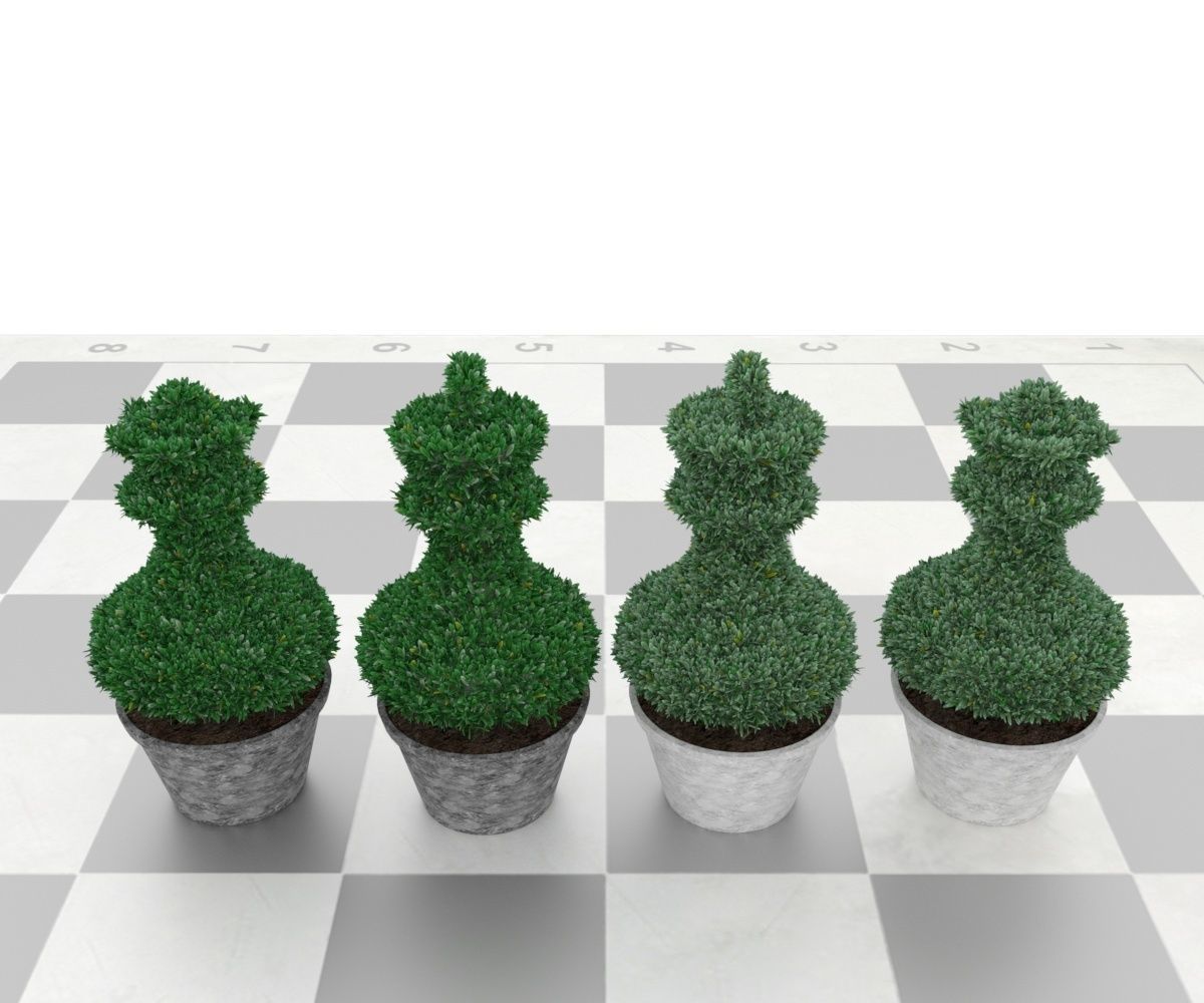 Bush plant - boxwood Low-poly 3D model_11