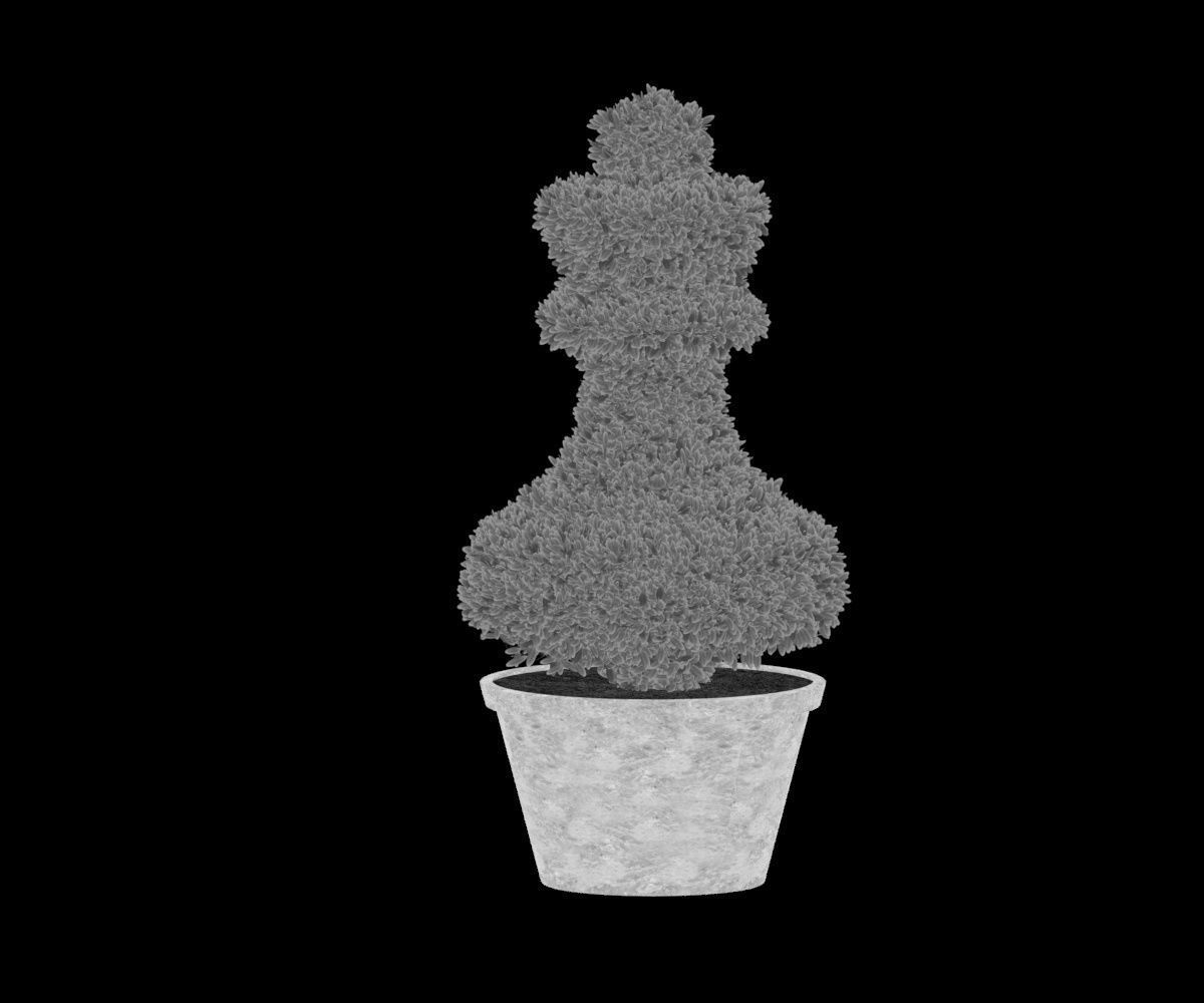 Bush plant - boxwood Low-poly 3D model_7