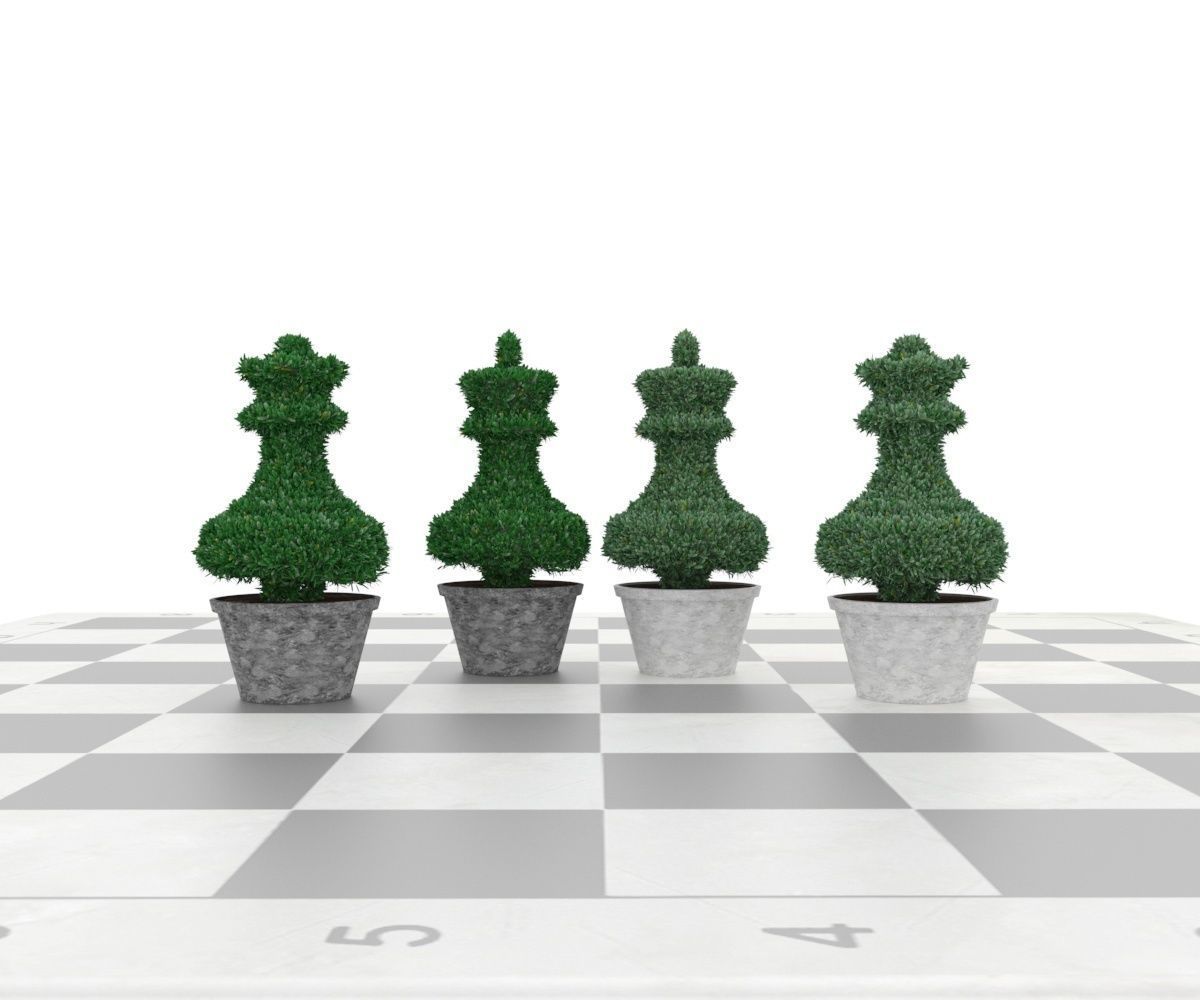 Bush plant - boxwood Low-poly 3D model_9