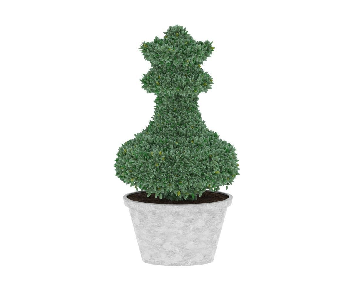 Bush plant - boxwood Low-poly 3D model_3