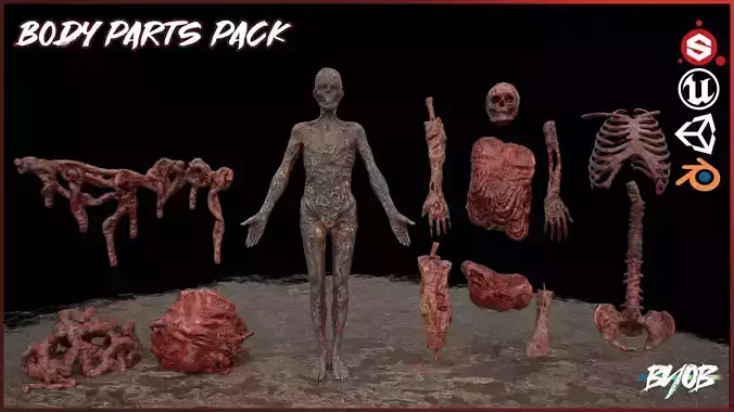 Body Parts prop pack - low poly 3D Models Low-poly 3D model